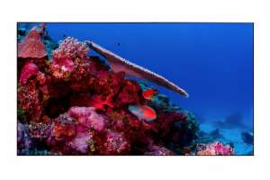  Фото видеостена 3x3 eliteboard 49" bb495fcbed - фото 3