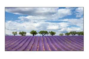  Фото видеостена 3x3 eliteboard 55" pk555fdln - фото 3