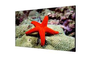  Фото видеостена 3x3 hikvision 46" ds-d2046lu-y - фото 3