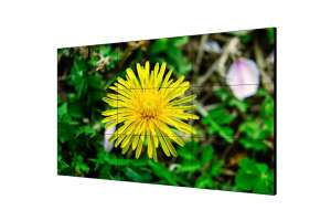  Фото видеостена 4x3 hikvision 55" ds-d2055he-g - фото 3