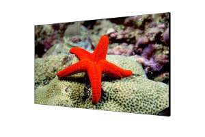  Фото видеостена 4x3 hikvision 55" ds-d2055lr-g - фото 3