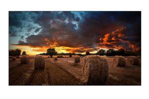  Фото видеостена 2x2 samsung 55" vm55b-u - фото 3