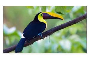  Фото видеостена 4x3 exell 55" expd-wa55ab35 - фото 3